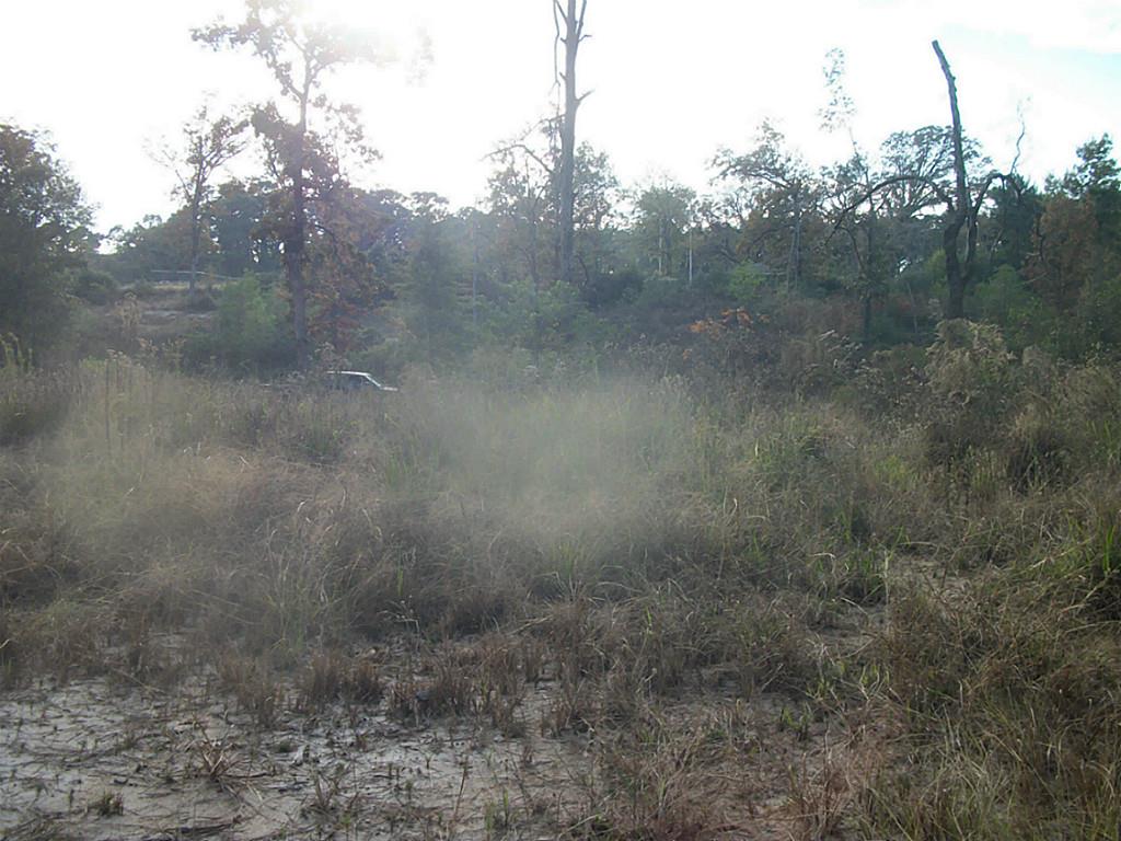 497 Valley View Drive, Onalaska, TX 77360