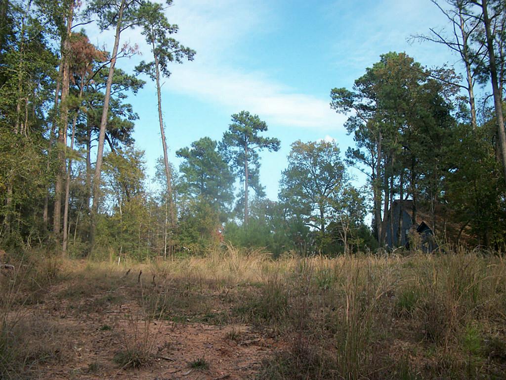 369 E Sunset Drive, Onalaska, TX 77360