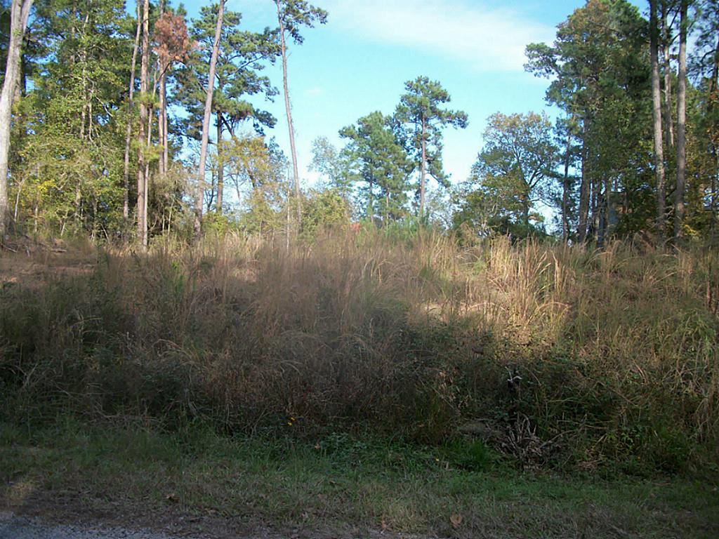 369 E Sunset Drive, Onalaska, TX 77360