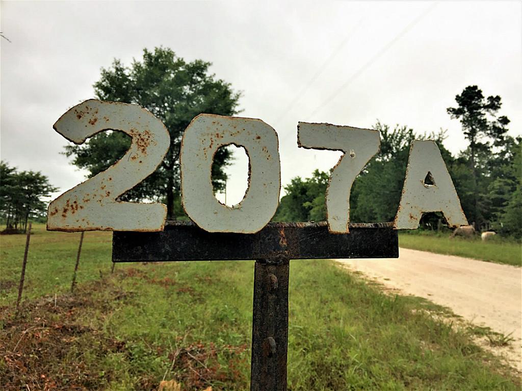 000 N Cr 207A, Plantersville, TX 77363