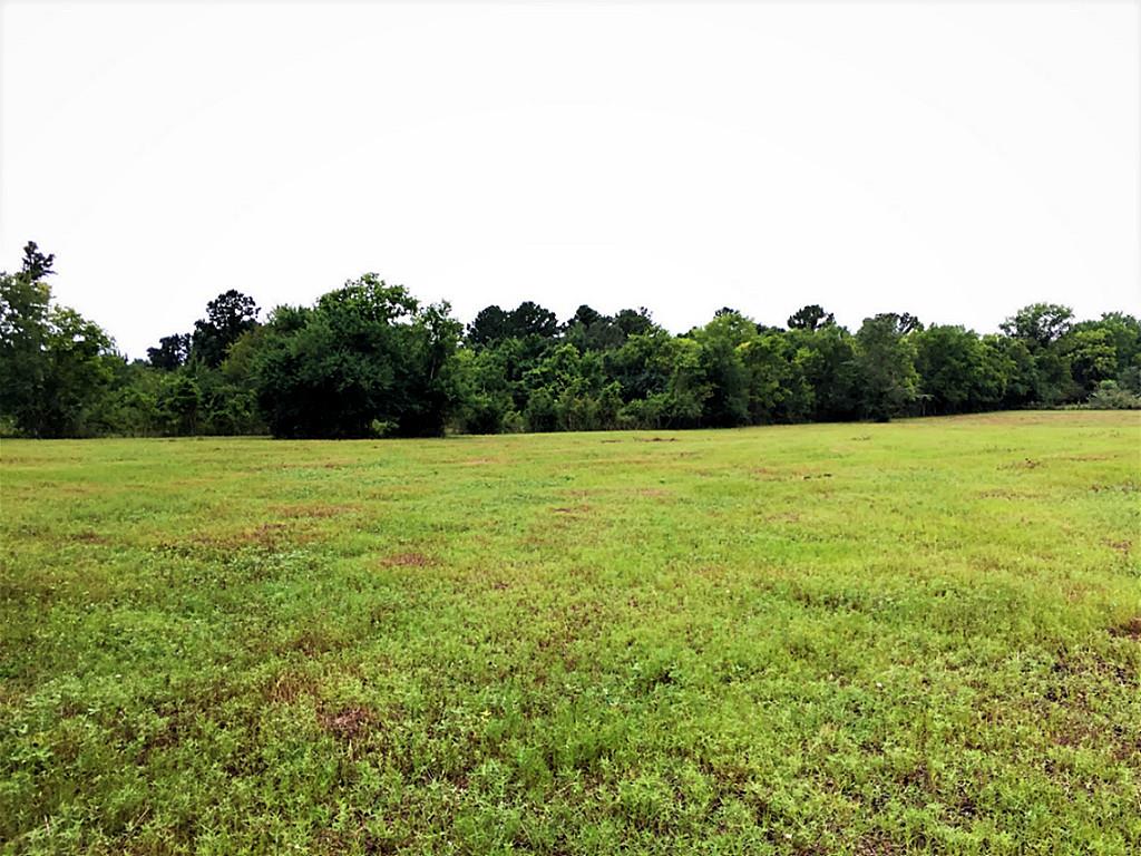 000 N Cr 207A, Plantersville, TX 77363