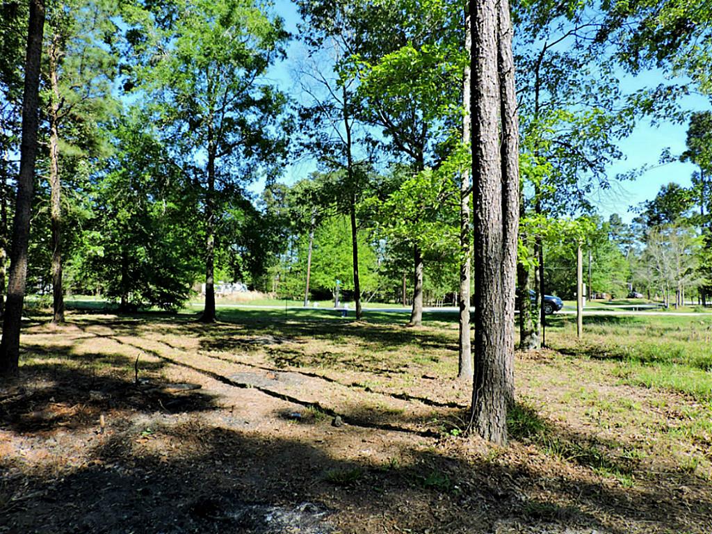 Tbd Antigua Drive, Point Blank, TX 77364