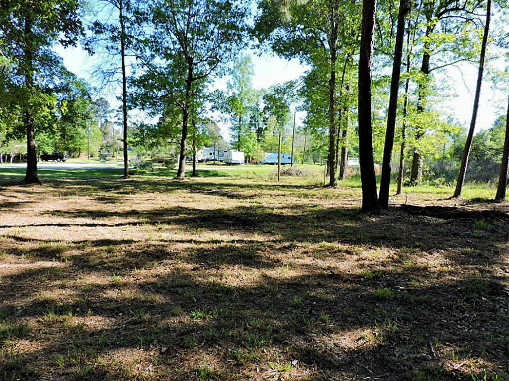 Tbd Antigua Drive, Point Blank, TX 77364