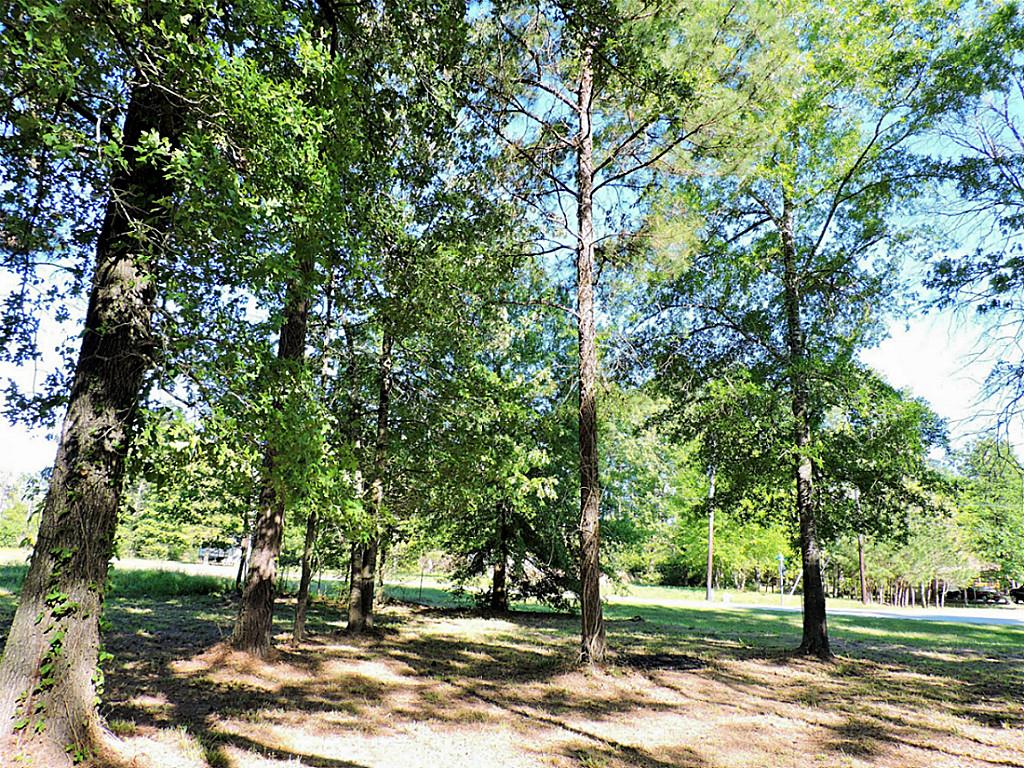 Tbd Antigua Drive, Point Blank, TX 77364