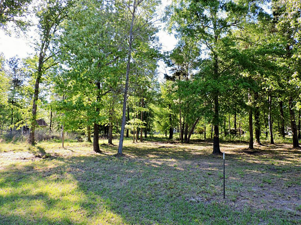 Tbd Antigua Drive, Point Blank, TX 77364