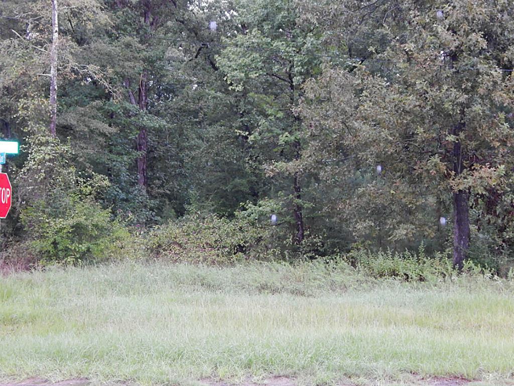 Lot 377 Willow Oak Lane, Point Blank, TX 77364