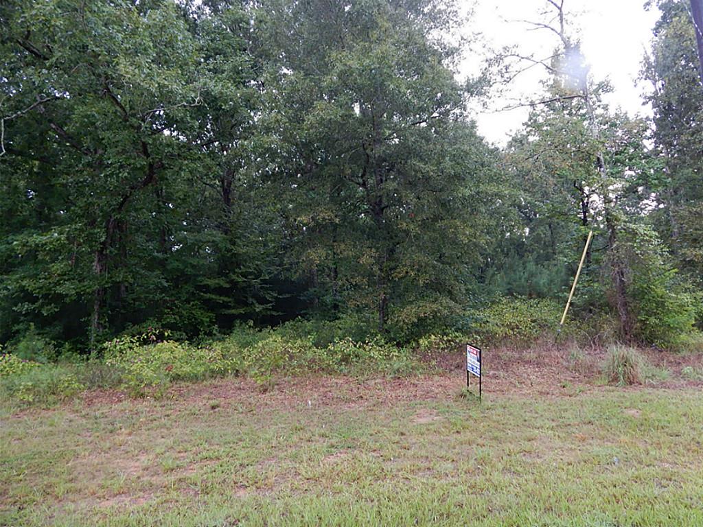 Lot 377 Willow Oak Lane, Point Blank, TX 77364