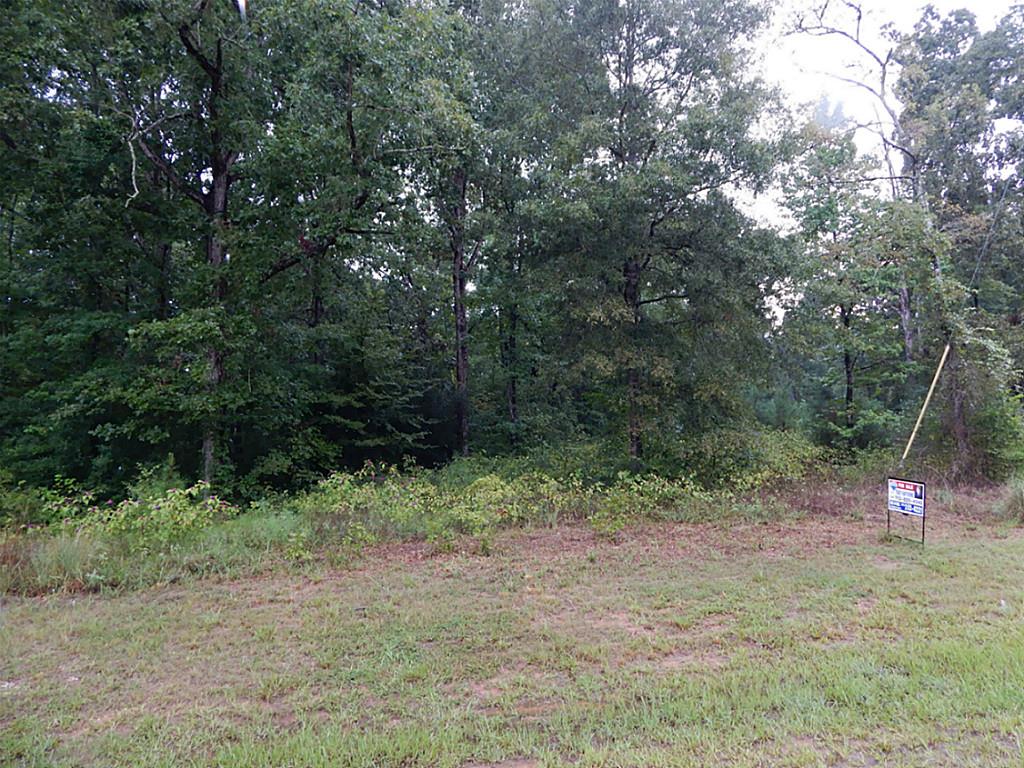 Lot 377 Willow Oak Lane, Point Blank, TX 77364