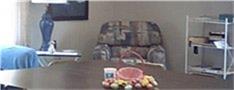 1791 South Byrd Avenue, Shepherd, TX 77371