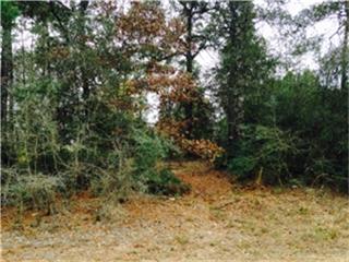 26590 Center, Patton Village, TX 77372