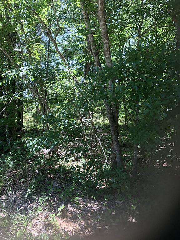 0 NE Relza, Splendora, TX 77372
