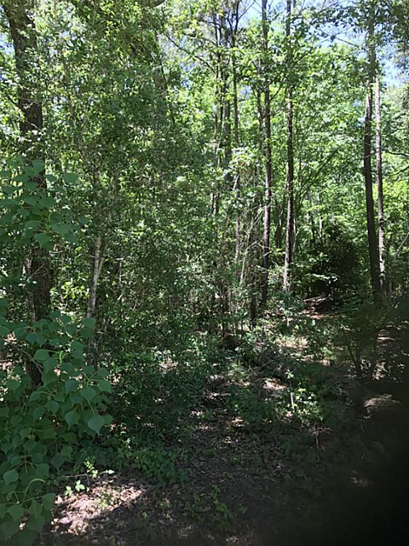0 NE Relza, Splendora, TX 77372