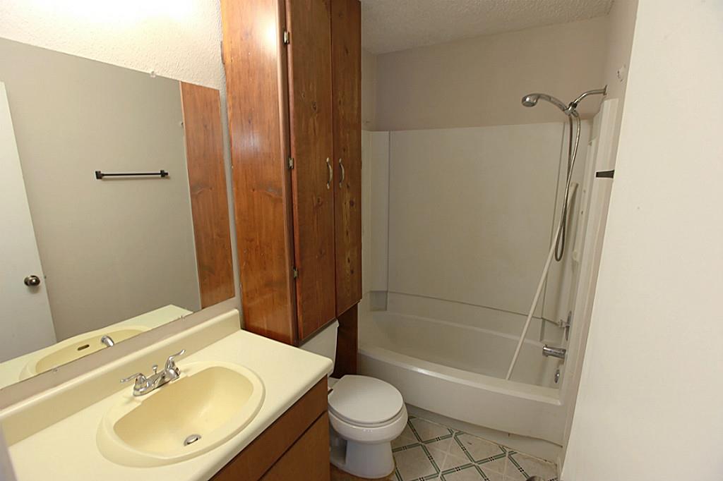 3127 Cliff Swallow Court, Spring, TX 77373