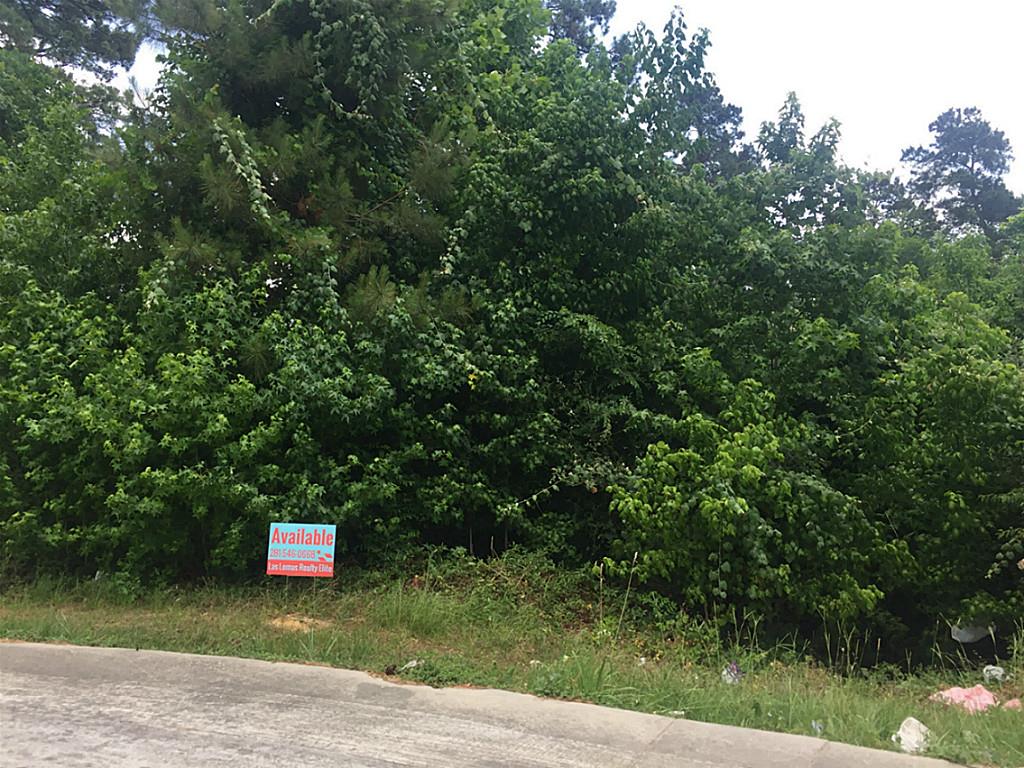 25210 Elijah Court, Tomball, TX 77375