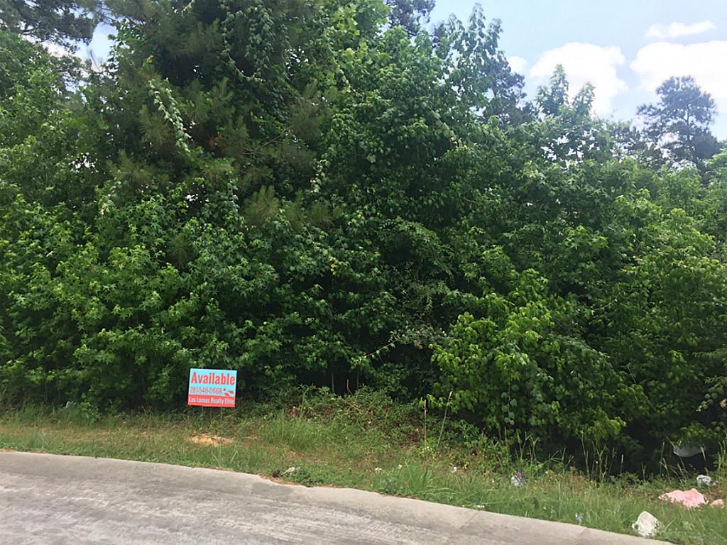 25210 Elijah Court, Tomball, TX 77375