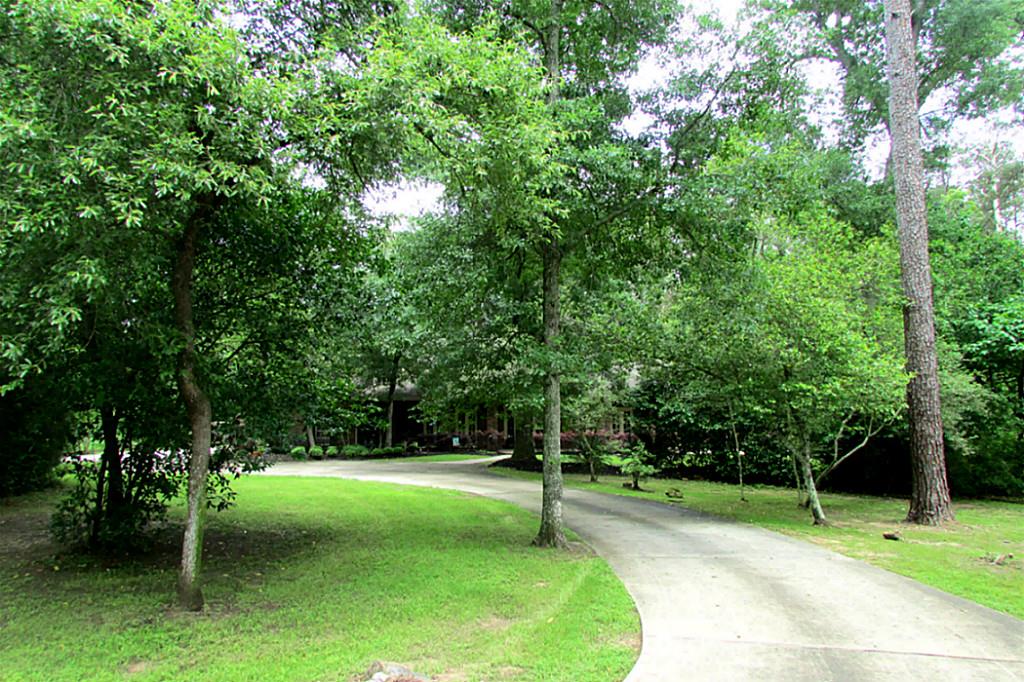 23302 Holly Hollow Street, Tomball, TX 77377