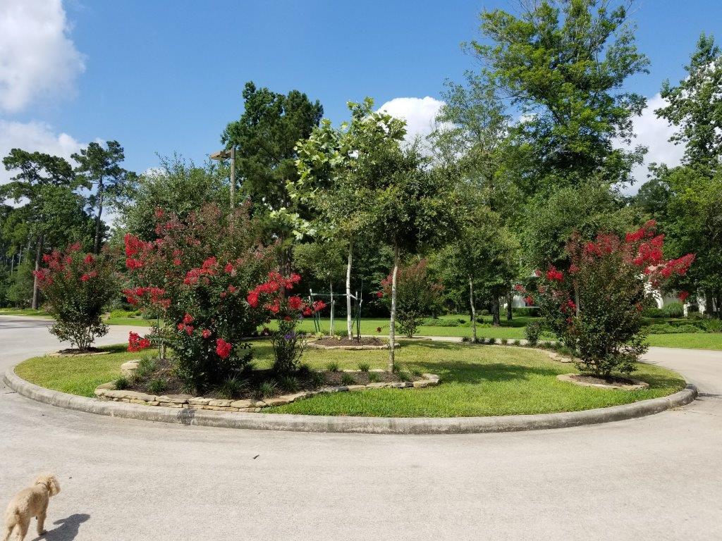14 W Bridle Oak Court, The Woodlands, TX 77380