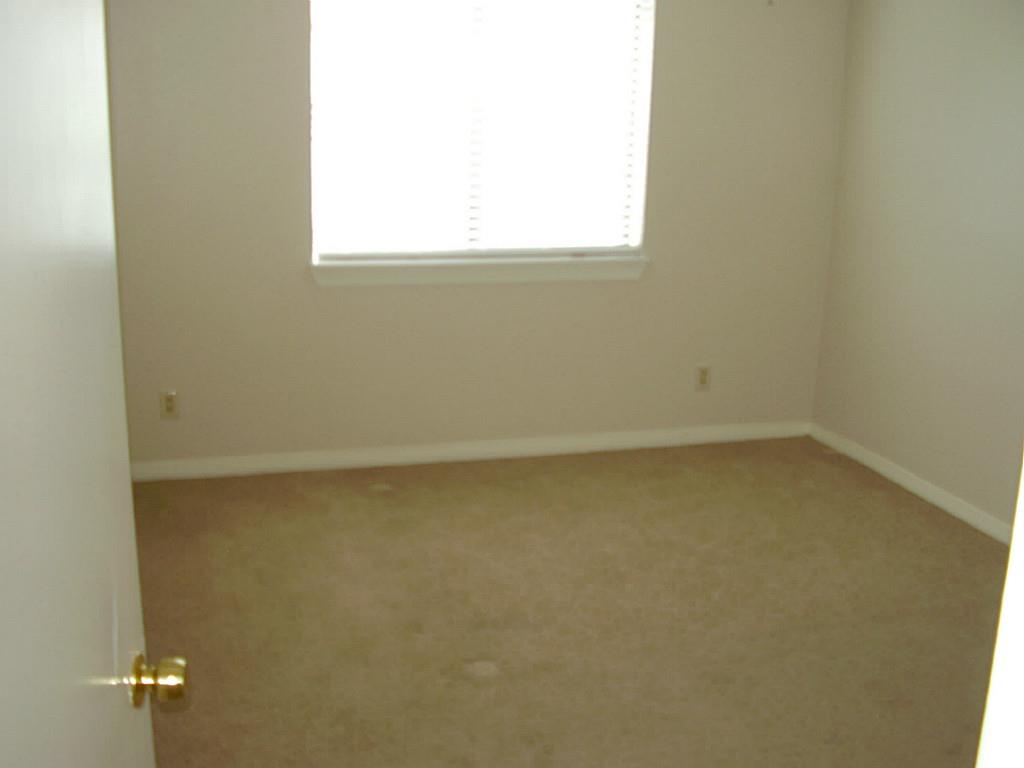 3500 Tangle Brush Drive, The Woodlands, TX 77381