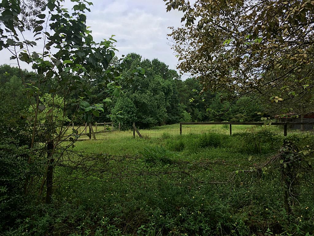 11059 Darby Loop, Conroe, TX 77385