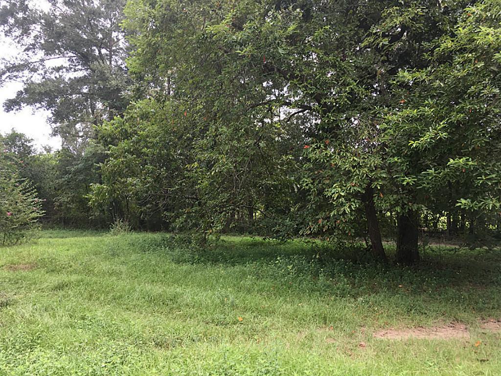 11059 Darby Loop, Conroe, TX 77385