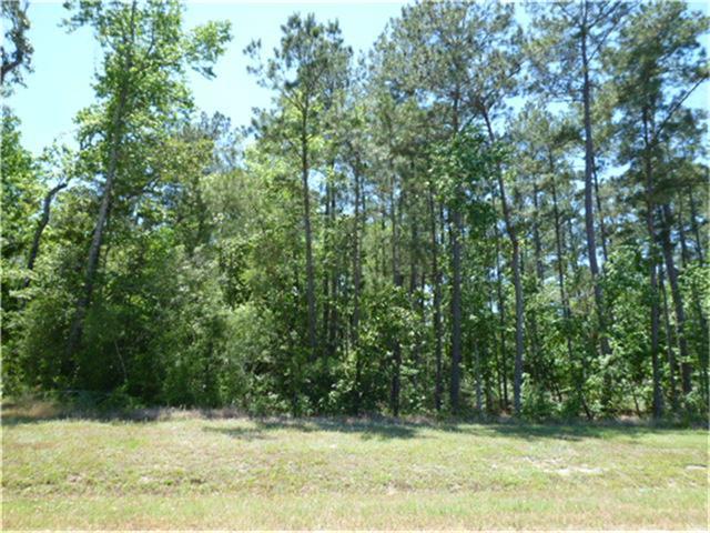 27422 Blue Cedar Lane, Spring, TX 77386