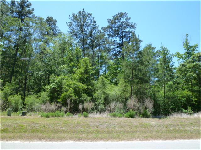 27422 Blue Cedar Lane, Spring, TX 77386