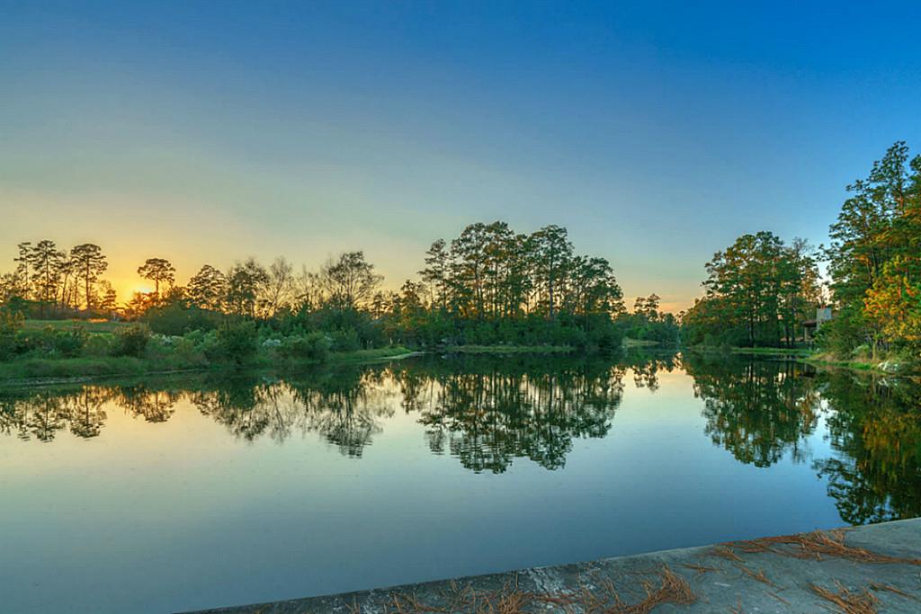 94 Mediterra Way, The Woodlands, TX 77389
