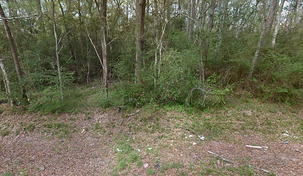 6807 Rubilee Avenue, Humble, TX 77396