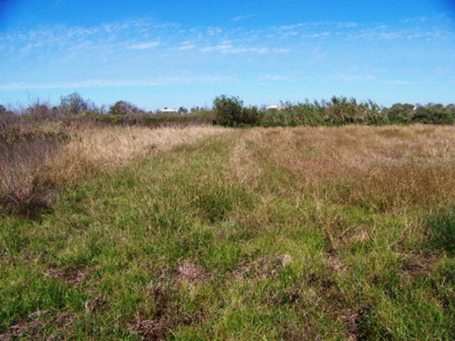 2077 Intracoastal Dr, Sargent, TX 77414
