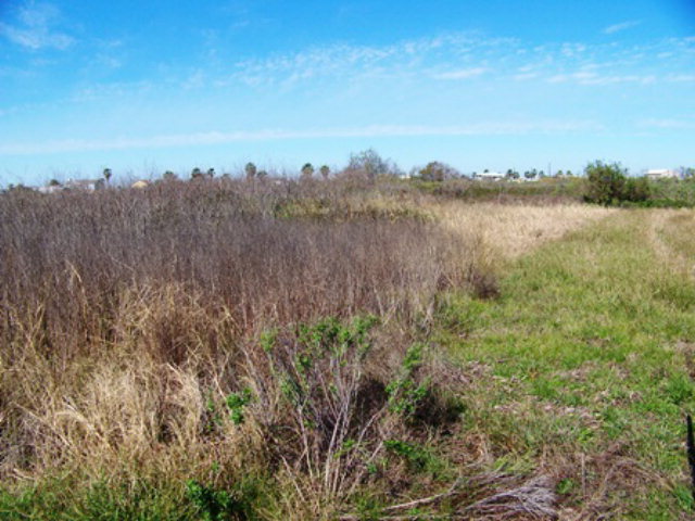 2077 Intracoastal Dr, Sargent, TX 77414