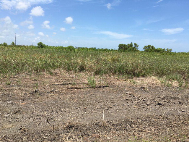 0 Mariner, Sargent, TX 77414