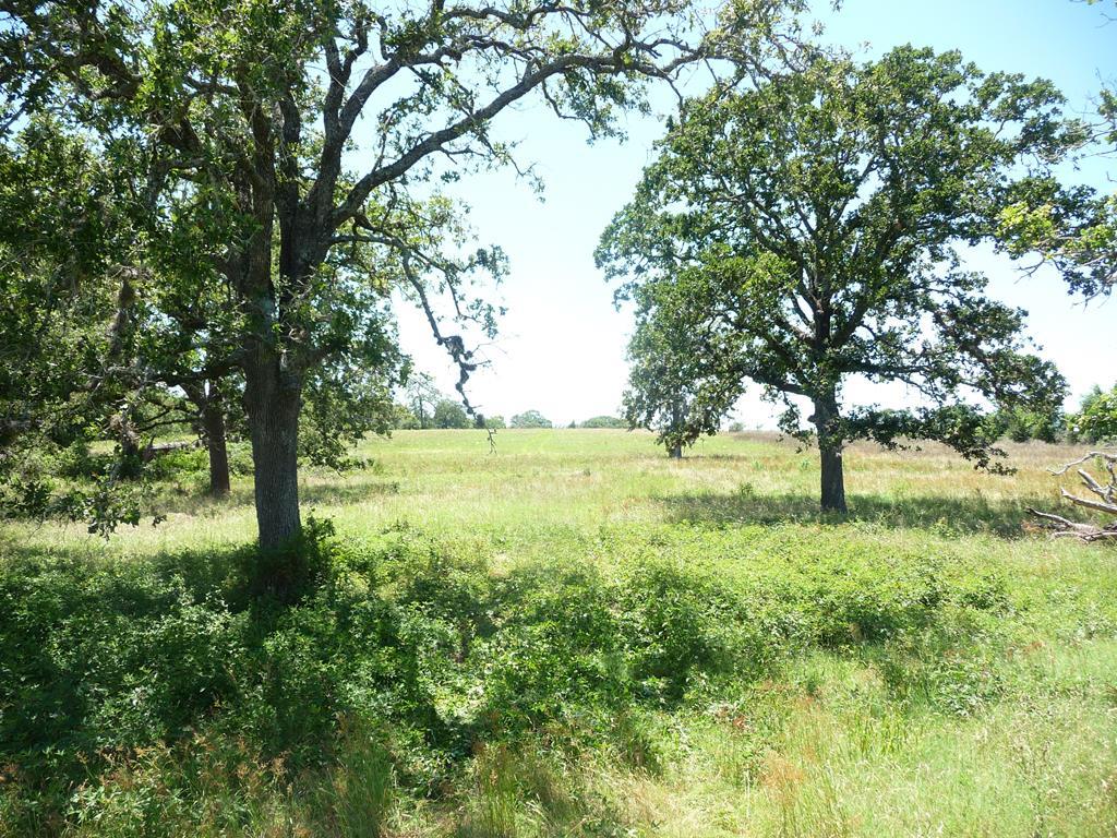 7490 N Highway 36, Bellville, TX 77418