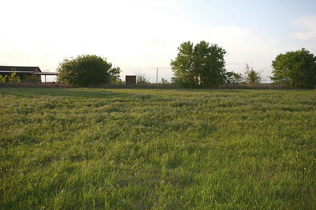 15-16 County Road 868 D, Brazoria, TX 77422