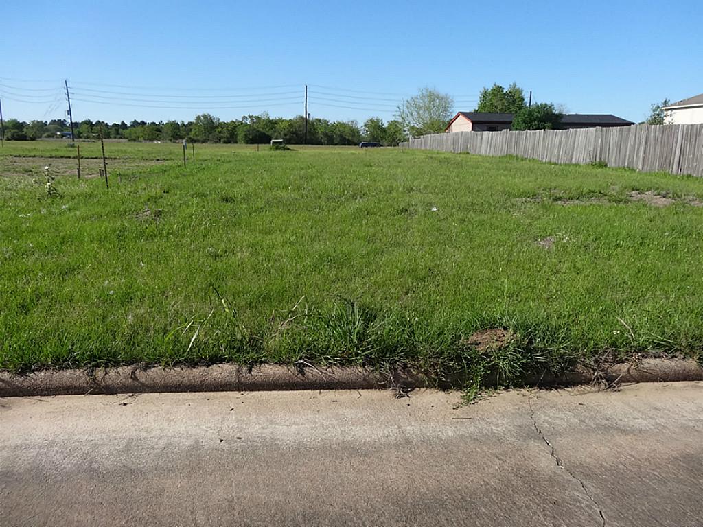 3502 Brook Hollow Drive, Brookshire, TX 77423