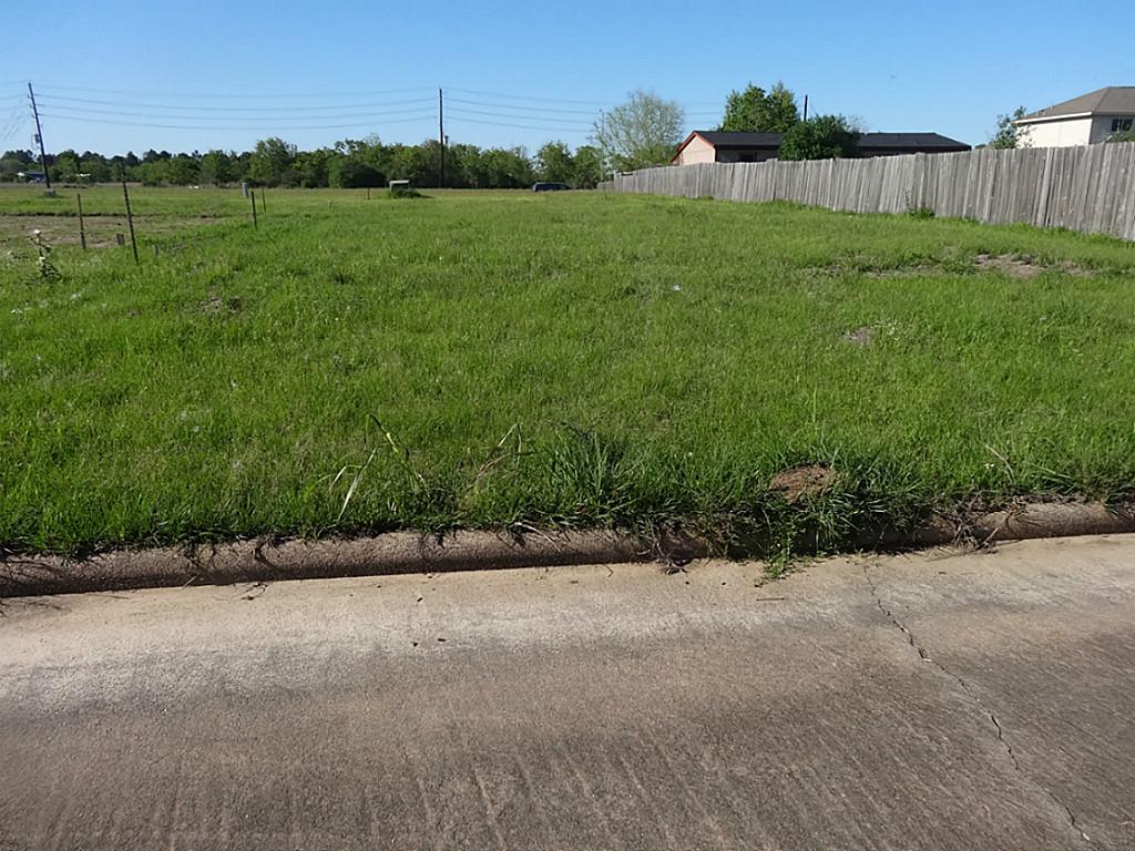 3502 Brook Hollow Drive, Brookshire, TX 77423