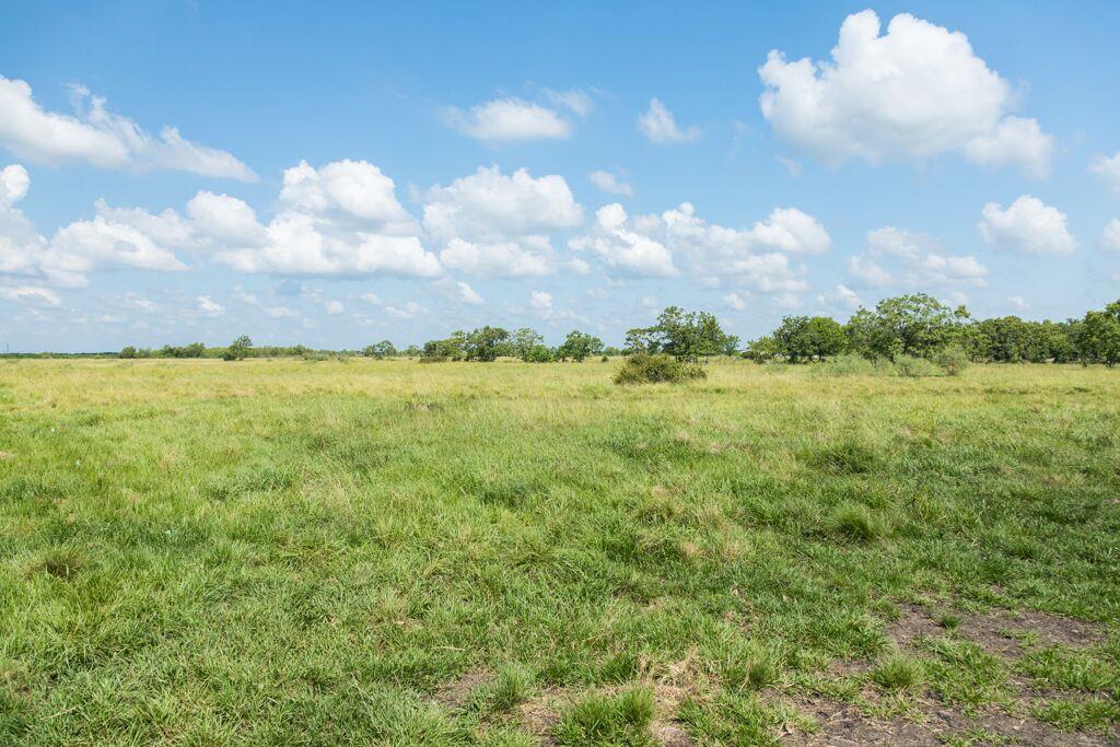 00 FM 1095, Elmaton, TX 77440