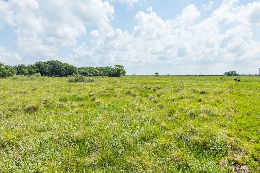 00 FM 1095, Elmaton, TX 77440