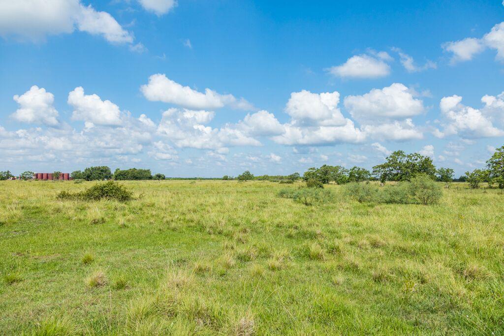 00 FM 1095, Elmaton, TX 77440