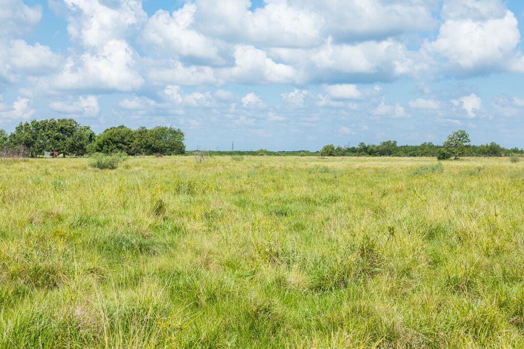 00 FM 1095, Elmaton, TX 77440