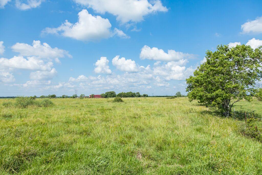 00 FM 1095, Elmaton, TX 77440