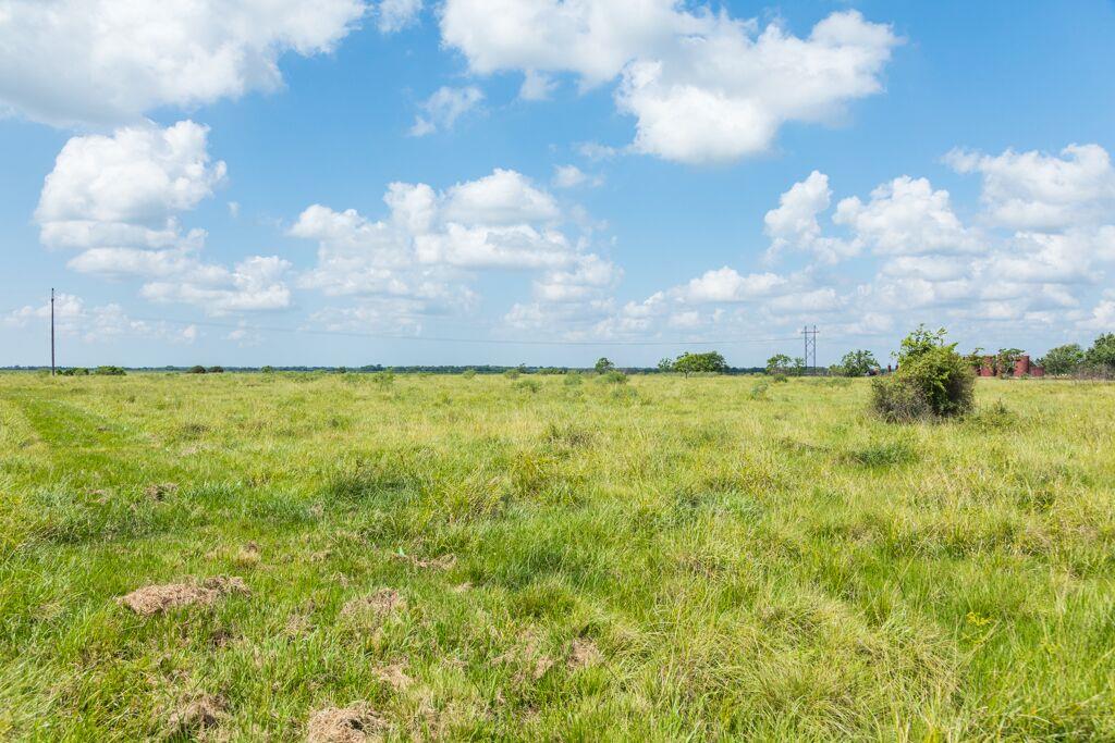 00 FM 1095, Elmaton, TX 77440