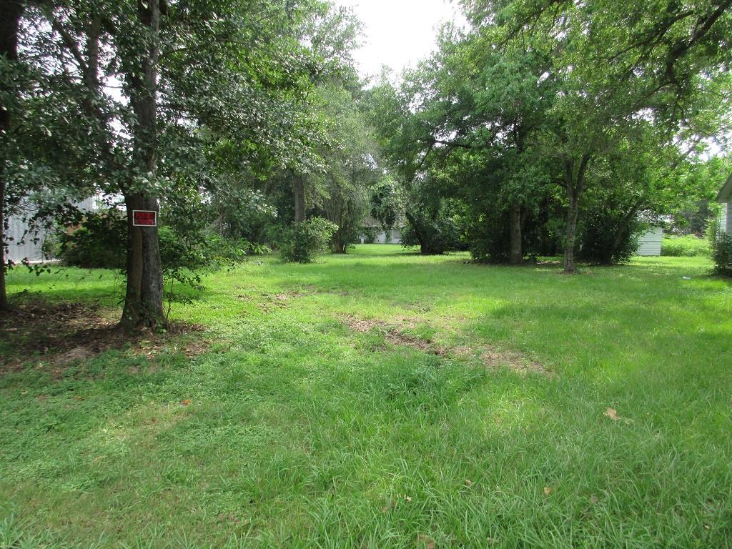 602 Nelle Street, Garwood, TX 77442