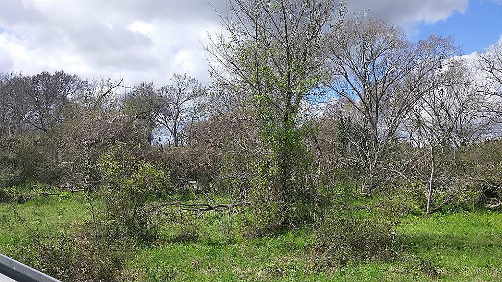0 17th Street, Hempstead, TX 77445