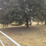 13329 FM 1887 RD ,TX, Hempstead, 77445