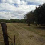 13329 FM 1887 RD ,TX, Hempstead, 77445