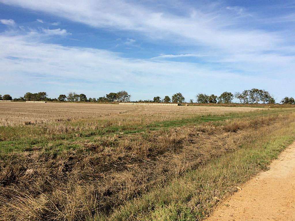 000 CR 277, Lissie, TX 77454