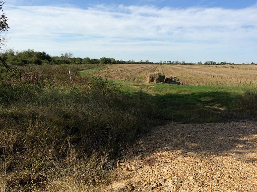 000 CR 277, Lissie, TX 77454