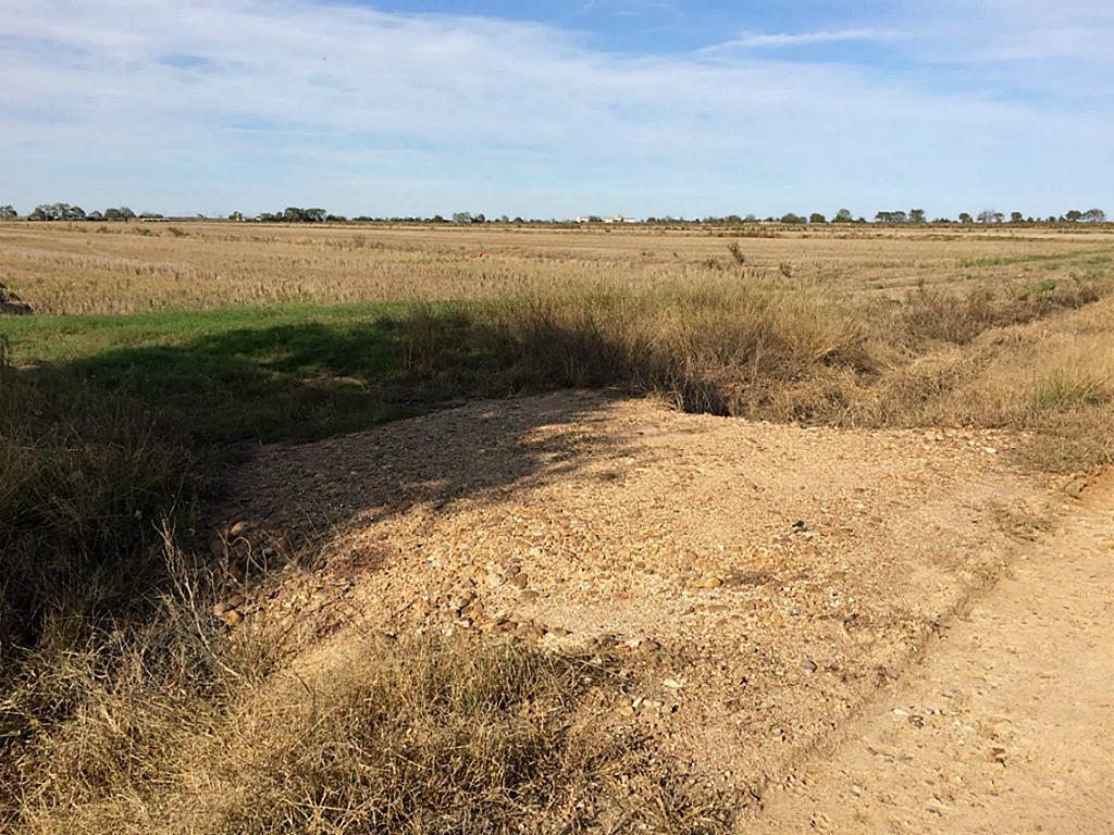 000 CR 277, Lissie, TX 77454