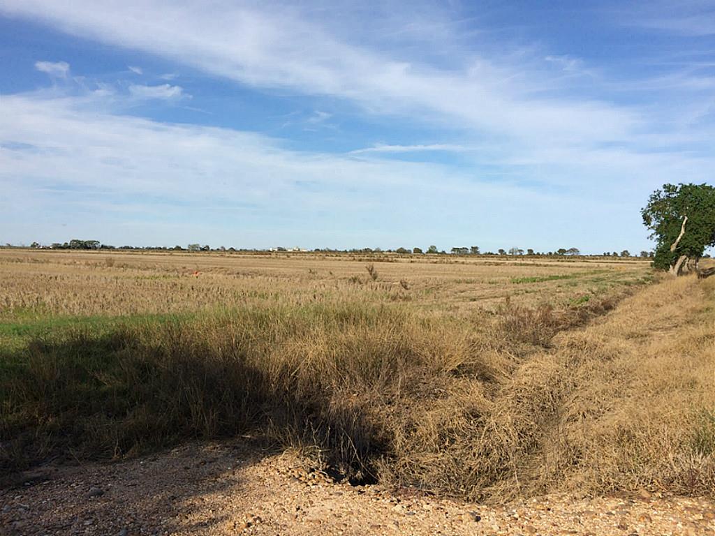 000 CR 277, Lissie, TX 77454