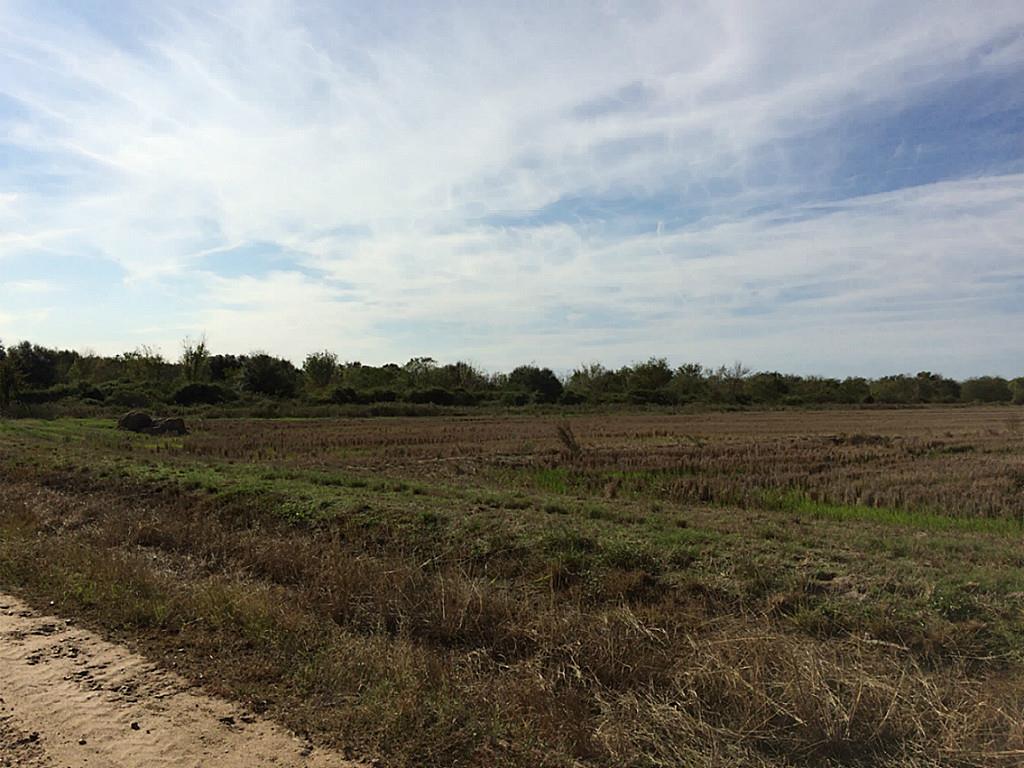 000 CR 277, Lissie, TX 77454